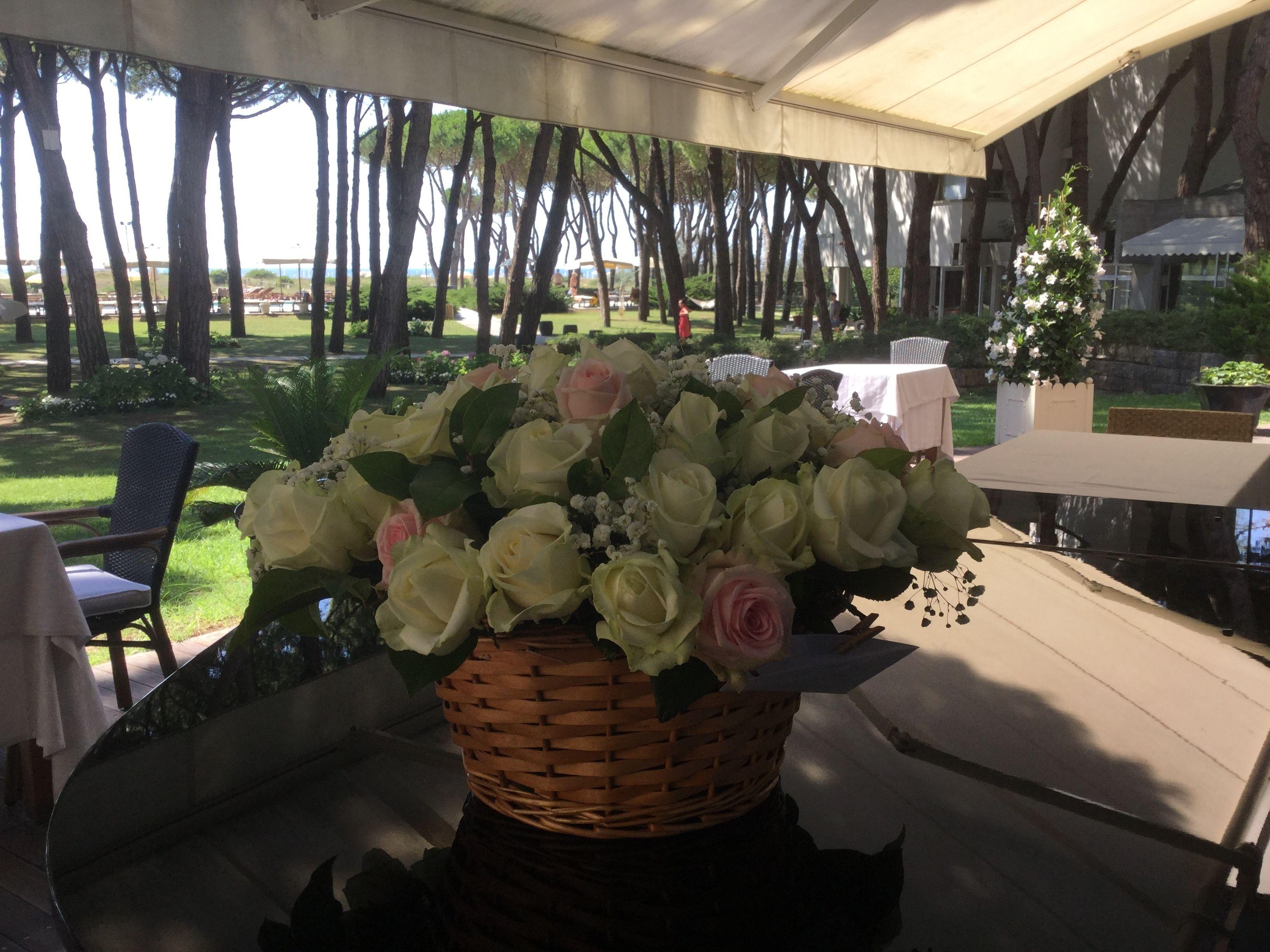 Bellevue Hotel&resort Lido di Jesolo