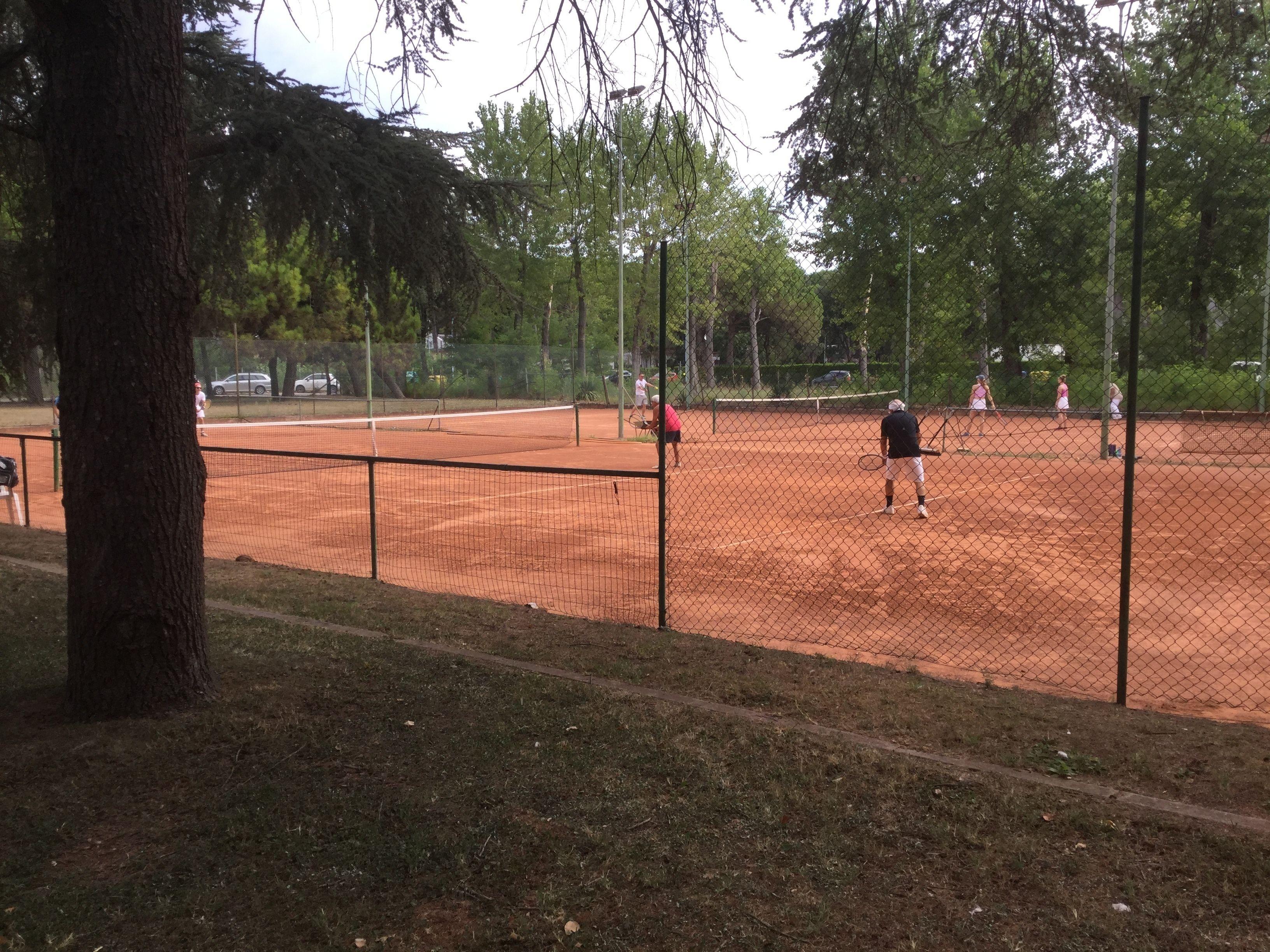 Hotel Bellevue Hotel&resort