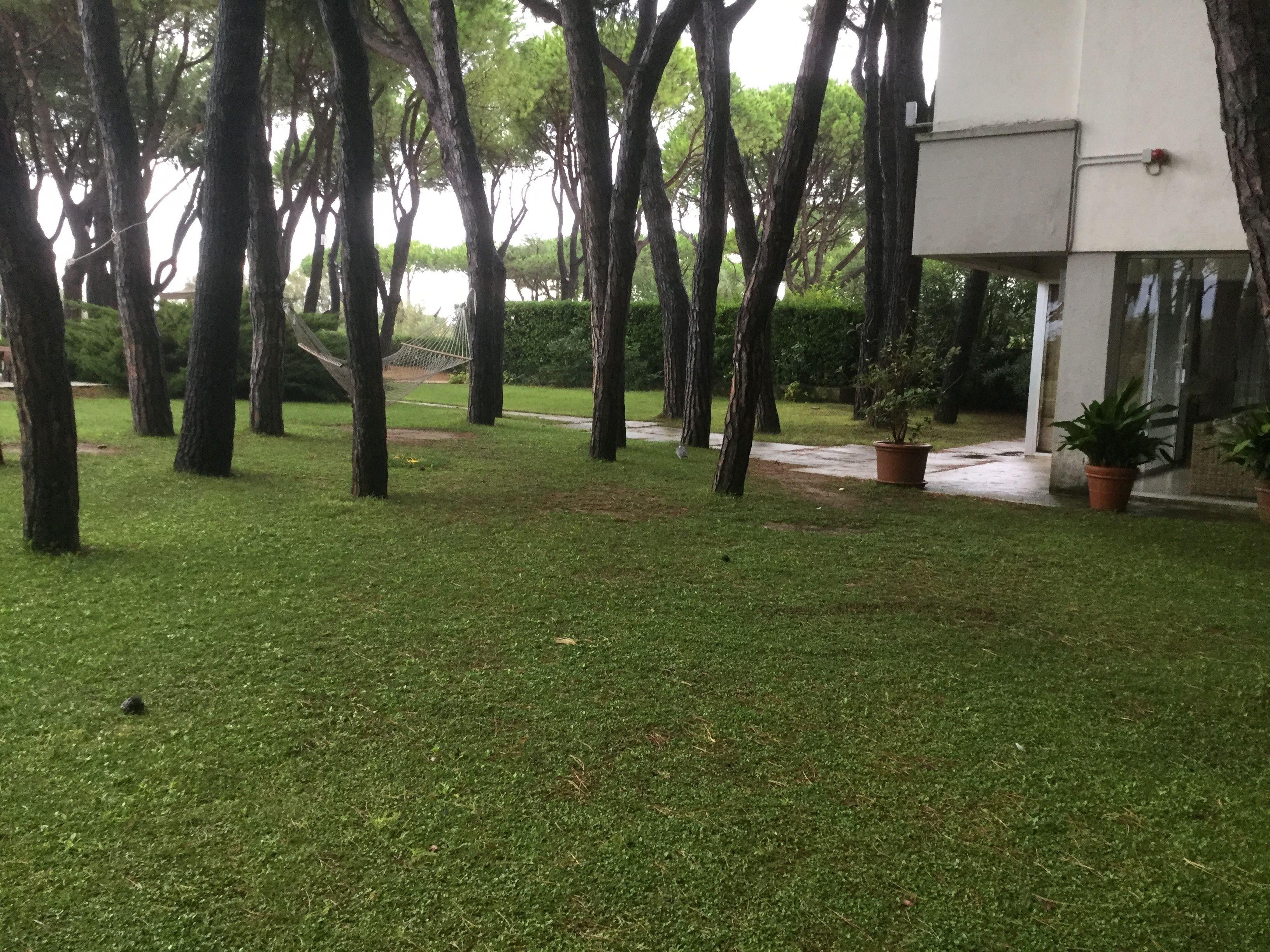 Bellevue Hotel&resort