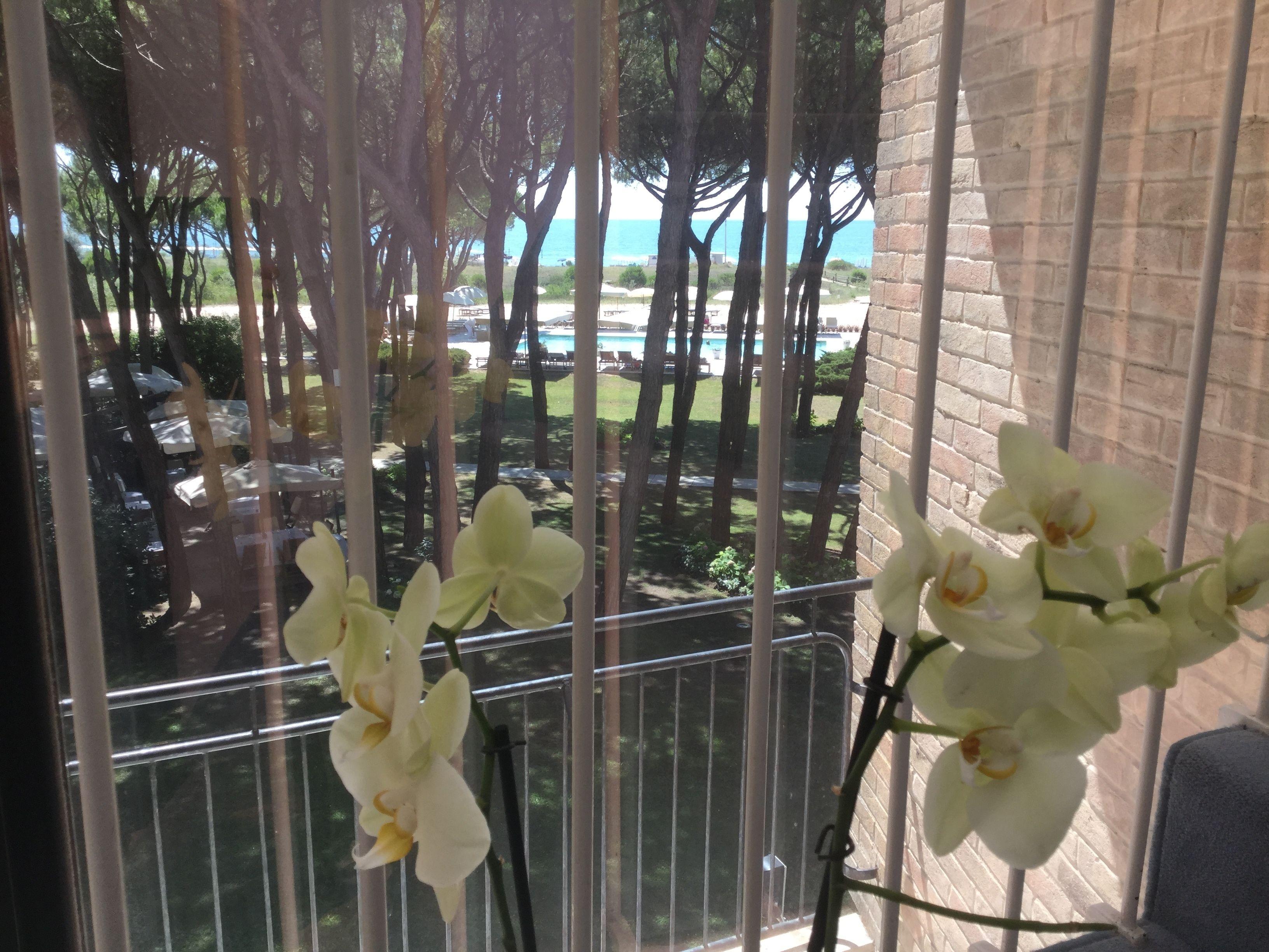 Bellevue Hotel&resort 4*