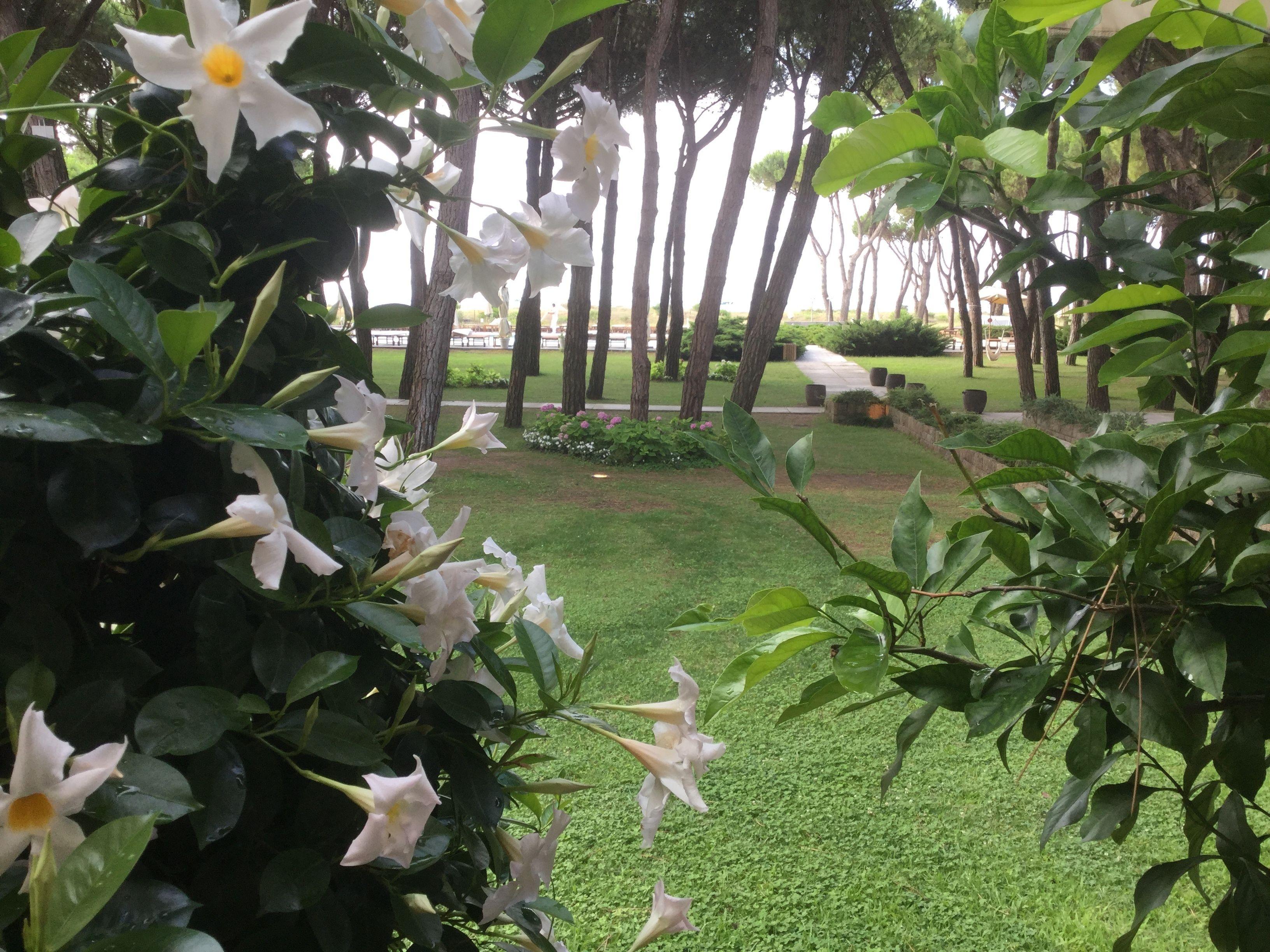 Hotel Bellevue Hotel&resort 4*