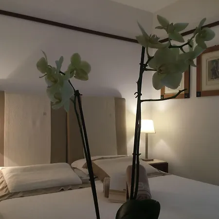 Hotel Bellevue & 4*