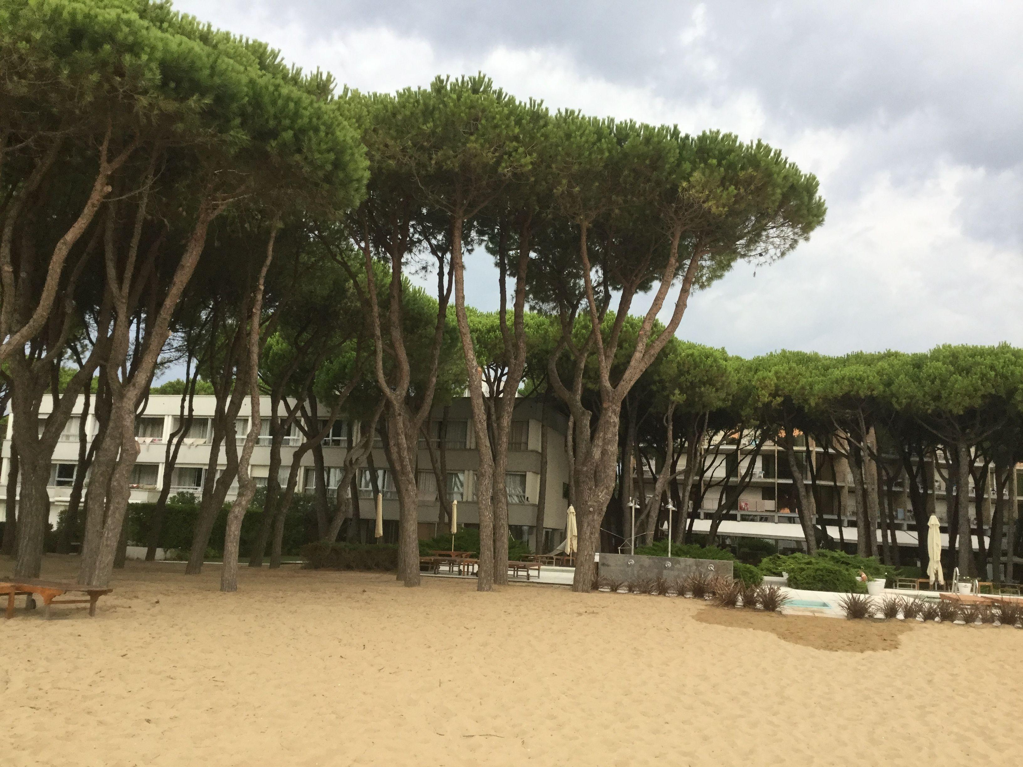 Bellevue Hotel&resort Hotel Lido di Jesolo